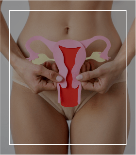 Sistema reproductor